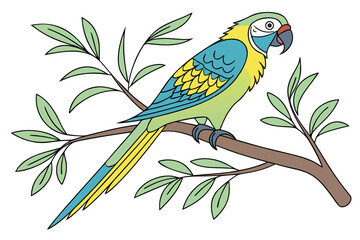 vector illustration of a parrot