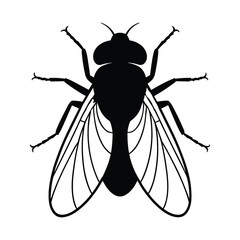 Stylized silhouette of a common housefly with detailed wings and legs