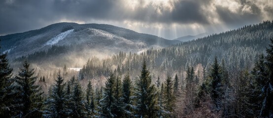 Snowy mountains covered with dense fir trees under a cloudy sky with light rays shining through