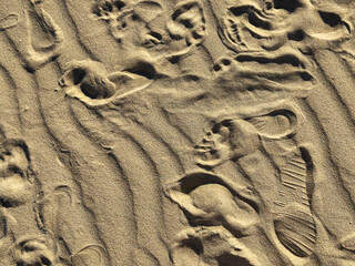 Beach sand with human footprints. Closeup texture of granular surface with natural wavy lines, steps