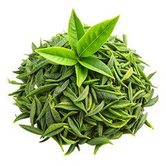 fresh spinach leaves