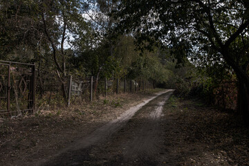 Fototapeta premium Landscape with a road passing through a deserted summer cottage village.