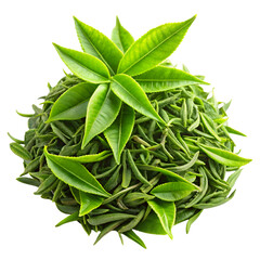 green tea leaves
