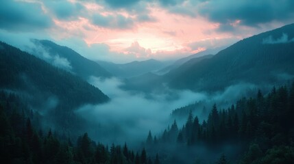 Majestic mountain landscape with dense pine forests shrouded in mist during sunrise, capturing the serene and mysterious atmosphere of a foggy mountain valley