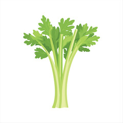 Fresh celery stalks with vibrant green leaves.  A healthy, crisp vegetable, perfect for salads, snacks, or culinary creations.  A nutritious addition to your diet