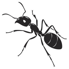 ant on white background
