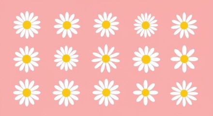 Set of Daisy Flower Icons Isolated on Pink Background in Flat Vector Illustration with White Petals and Yellow Centers for Decorative Floral Elements, Spring Design, and Nature Graphics