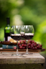 Wine in the Garden for Two