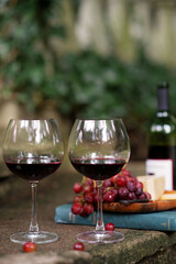 Wine and Grapes