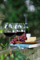 glass of red wine