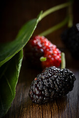 Fresh Ripe Mulberry with Leaf on Dark Wooden Background