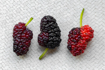Fresh Red and Black Mulberries on Light Textured Background