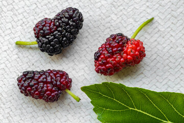 Fresh Black Mulberries with Green Leaf on Light Textured Background