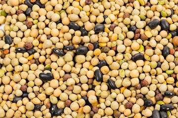Assorted Dry Legumes Close-Up
