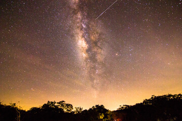 The Milky Way in the night sky above the forest on the mountain.