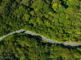 Car in rural road in deep rain forest with green tree forest view from above, Aerial view car in the forest on asphalt road background, Electric vehicle EV car drive asphalt road green tree forest