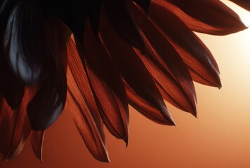Upward close-up of floral petals in warm light, showcasing rich orange hues and dark shadowing against a bright gradient background