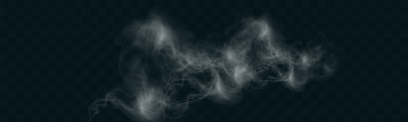 Realistic white smoke or mist effect with soft, swirling patterns on a transparent background. Perfect for overlays and atmospheric designs.