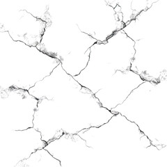 Obraz premium Abstract black and white marble texture with intricate veins and patterns for artistic and design applications