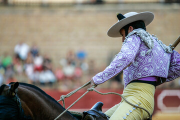 Picador on armored horse at Seville's bullfight