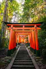 Stone steps lead through vibrant red torii gates of Fushimi Inari Taisha on Mount Inari, Kyoto, captured in soft morning light amidst a sacred forest path