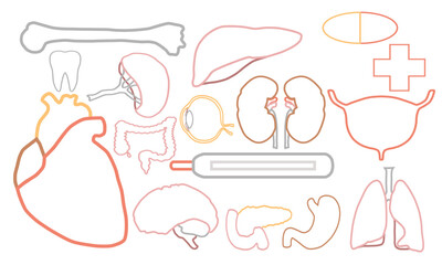 Human Organs Outline Vector Set – Medical Anatomy Icons