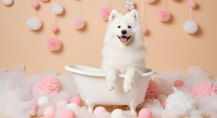 Samoyed in White Tub  Whimsical Grooming Scene with Pink Cotton Decor