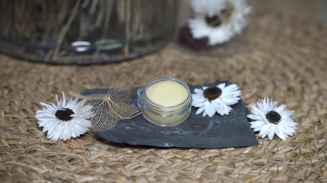 Natural homemade lip balm in transparent container on beige background with white flowers. DIY organic cosmetics, skincare, and eco-friendly handcrafted beauty concept.