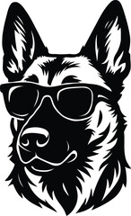 Belgian Malinois guard dog head in Sunglasses