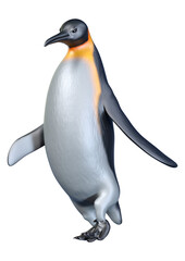 3D Rendering Emperor Penguin on White