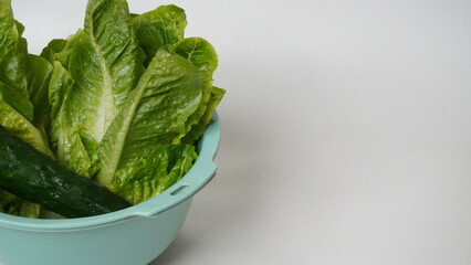 Fresh romain lettuce and Japanese cucumber (kyuri) that have just been washed and stored in a green container placed on a white background