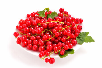 ripe fresh red currant on light background, berry season