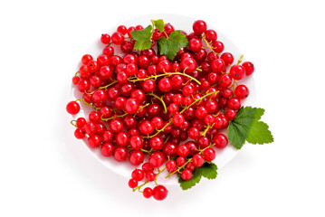 ripe fresh red currant on light background, berry season