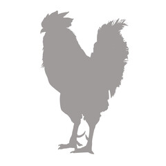 Gray silhouette of a rooster standing against a black background silhouette