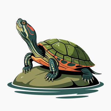 Red-Eared Slider Turtle Vector Illustration