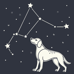 A stylized white dog looks up at a constellation of stars against a dark night sky © Stock
