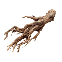 Fototapeta premium Natural Driftwood Piece with Unique Shape and Texture for Rustic Decor or Aquascaping Projects
