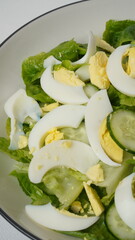 A serving of salad consisting of sliced ​​romaine lettuce, Japanese cucumber (kyuri), and boiled egg  without salad dressing served on a white plate and white background.