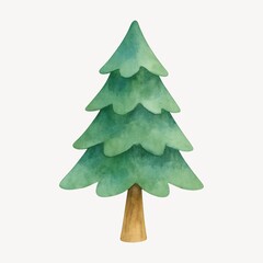 Watercolor evergreen tree illustration.