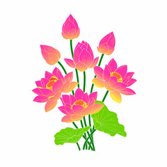 Obraz premium Pink lotus flower vector