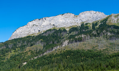 Beautiful bright colors of the Muran peak wall towering over the green forest. Tatra Mountains.