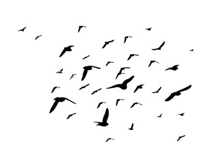 Flying birds silhouette flock. hand drawing. Not AI. Vector illustration.