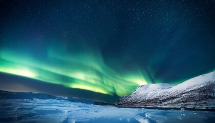 Fototapeta premium Aurora Borealis In Night Winter Sky Sky With Polar Lights And Stars Waves Of Green Northern Lights In Earth Atmosphere