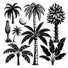 Silhouette Collection of Tropical Palm Trees and Plants for Summer Decoration, Exotic Landscape and Botanical Designs