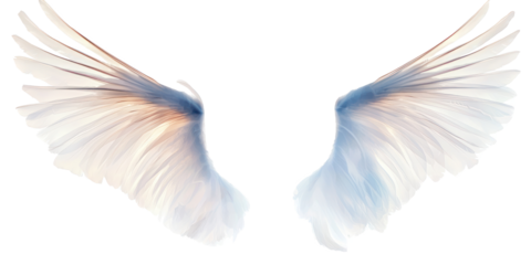 Two angel wings against a transparent background
