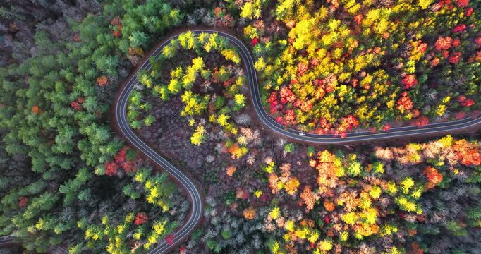 Blue Ridge Parkway at sunset in autumn. Scenic route between majestic mountain hills covered in golden and scarlet leaves