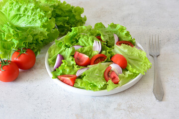 Fresh Salad with Tomatoes, Onions and Lettuce still life