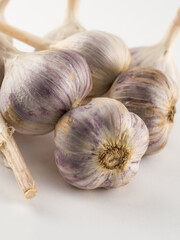 large and mature three heads of white garlic stand on a white background close-up