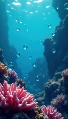 A cluster of varied sized bubbles floats near coral reef, vibrant, aquatic environment