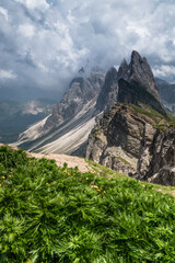 Seceda Peaks and Alpine Meadow Trail in the Dolomite Alps